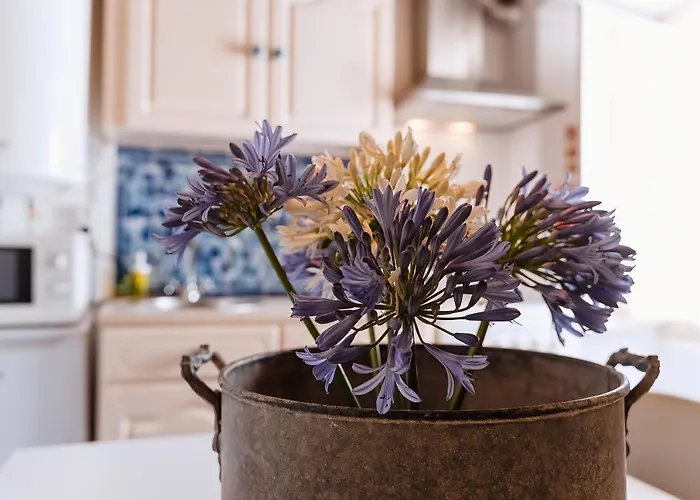 公寓 Casa Amarela *